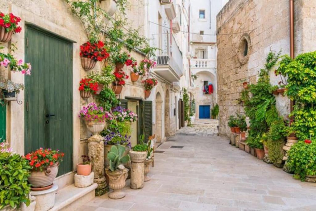 Il Mare In Citta. Appartamento Vista Mare Monopoli Εξωτερικό φωτογραφία